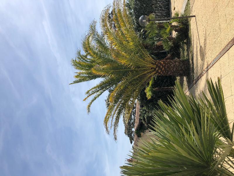 Résidence Les Naïades Soulac-sur-Mer Esterno foto