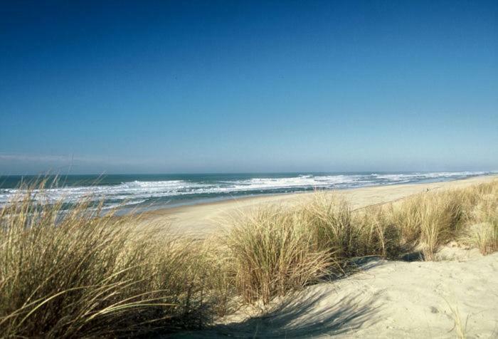 Résidence Les Naïades Soulac-sur-Mer Esterno foto